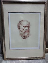 Pietro Annigoni - sanguigna - volto di profeta