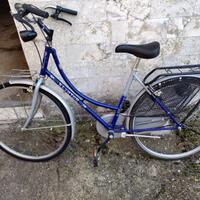 bicicletta da passeggio