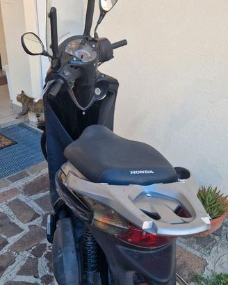 HONDA SH 125