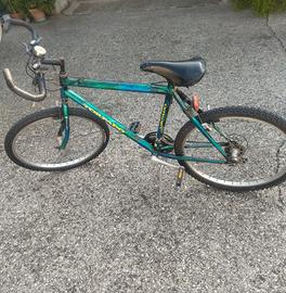 Bicicletta muontain bike