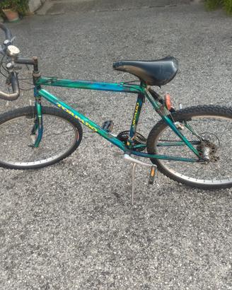 Bicicletta muontain bike