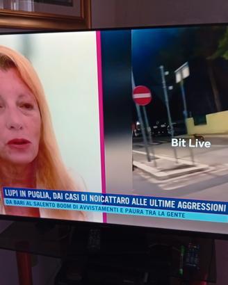  Smart tv
