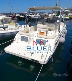 Fiart 25 Walkaround diesel