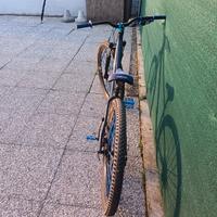 bicicletta