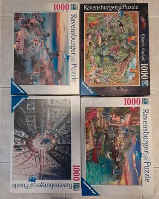 Puzzle usati da 1000 pezzi