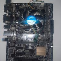 Scheda madre Asus H110M-C |Socket 1151 | CPU i3