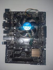 Scheda madre Asus H110M-C |Socket 1151 | CPU i3