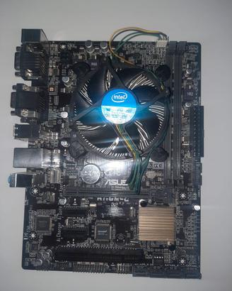 Scheda madre Asus H110M-C |Socket 1151 | CPU i3