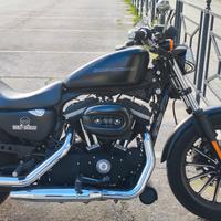 Harley Davidson 883