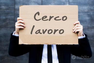 Aiuto anziani per visite mediche e altro - no bada