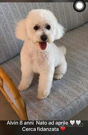 Barboncina per accoppiamento