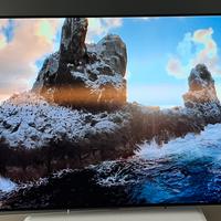 LG OLED 55” Modello B26LA - 4k@120hz - perfetto