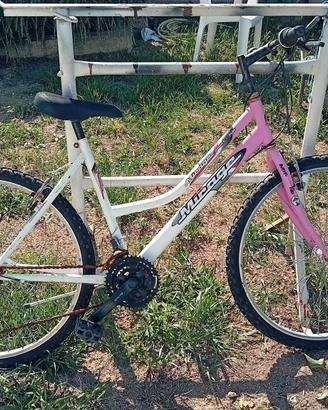 bicicletta bambina donna
