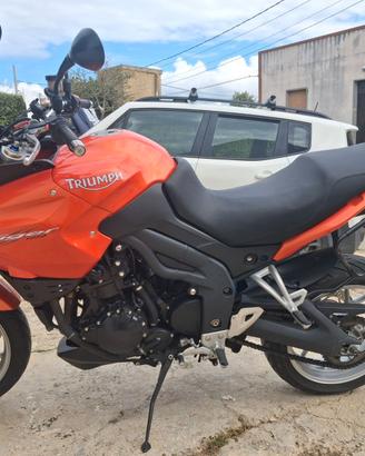 Triumph tiger 1050 perfetta