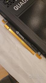 scheda video Nvidia p4000 Quadro