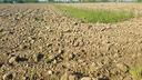 terreno-agricolo-seminativo-con-vigneto