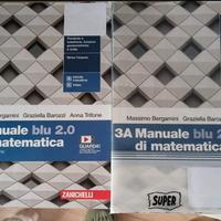 Manuale Blu di Matematica 2.0 3a Ed
