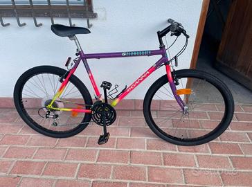 Bicicletta 26”