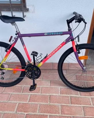 Bicicletta 26”