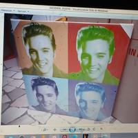 ELVIS POP ART  QUADRO CANVAS CON TELAIO IN LEGNO 