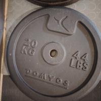 dischi pesi da 20 kg