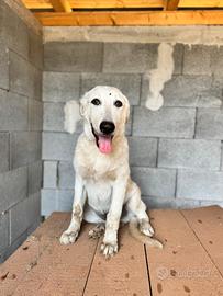Teddy, 5 mesi