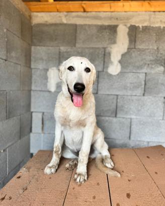 Teddy, 5 mesi
