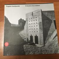 Progetto Castelgrande. Il divenire di un restauro