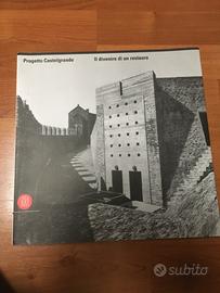 Progetto Castelgrande. Il divenire di un restauro
