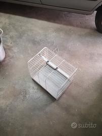 trasportino per gatti