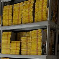 3000 fumetti di Topolino circa