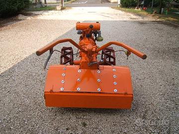 Motocoltivatore talpa