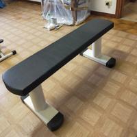 panca piana da palestra 