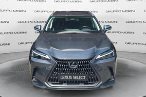 Lexus NX Plug-in Premium+ 4WD