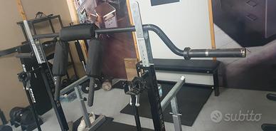 safety squat bar lacertosus