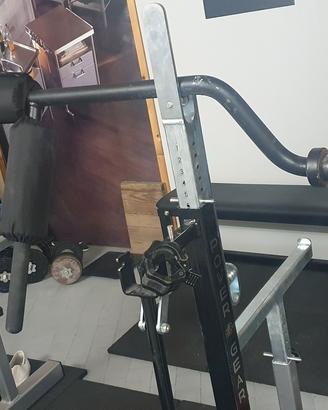 safety squat bar lacertosus