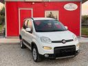 fiat-panda-4x4-1-3-mjt-80cv-2018