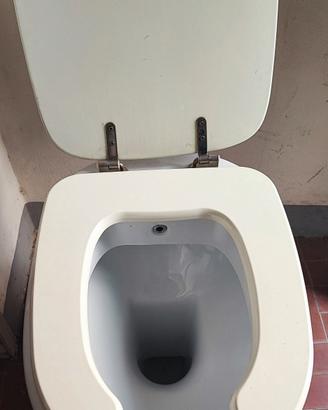 wc e bidet tutto incluso in un unico sanitario