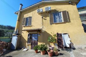 CASA INDIPENDENTE A MONTEROSI