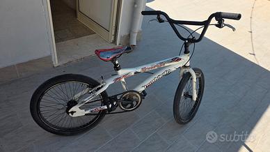 bicicletta