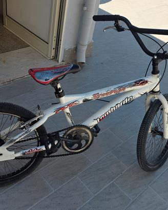 bicicletta