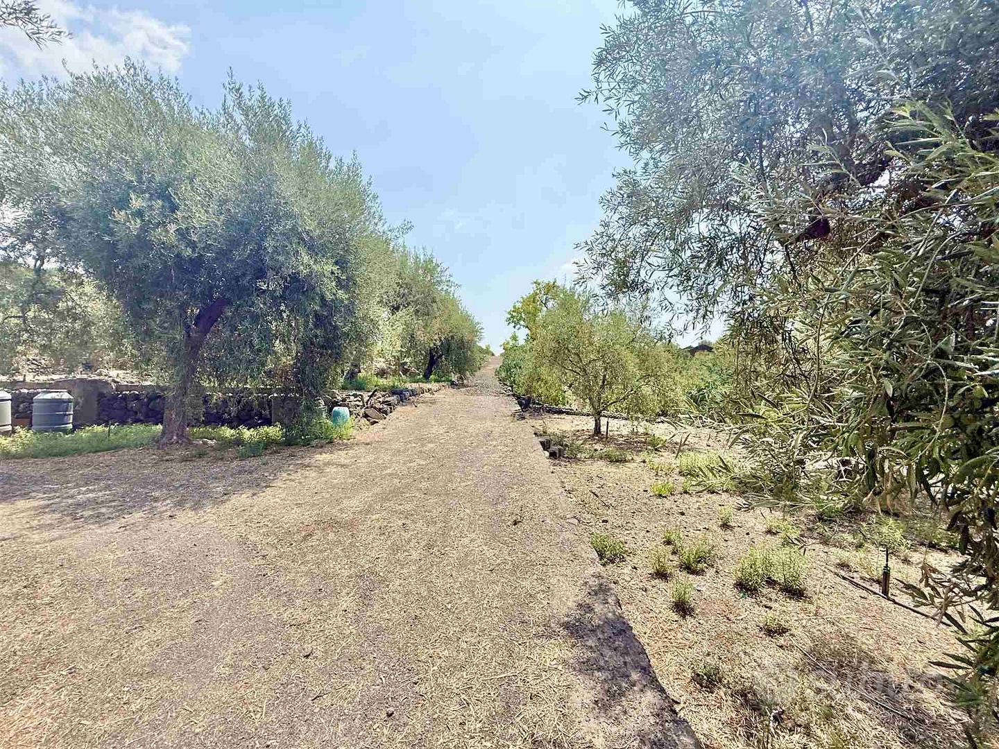 Rif.GL387- terreno agricolo santa maria di licodi - Altro