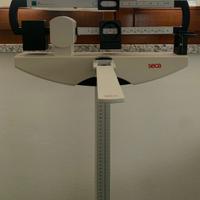 Bilancia Seca modello 711