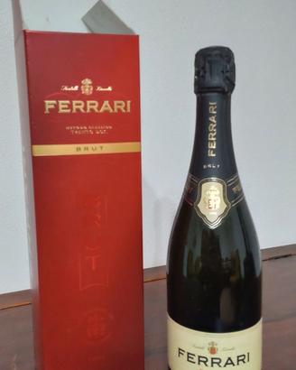 FERRARI Brut Trento Doc Sboccatura 2008 (0,75 l)