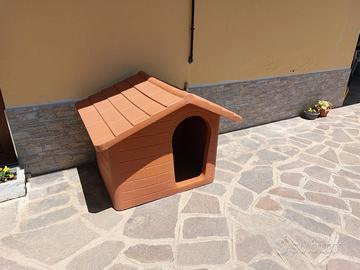 Cuccia x cane