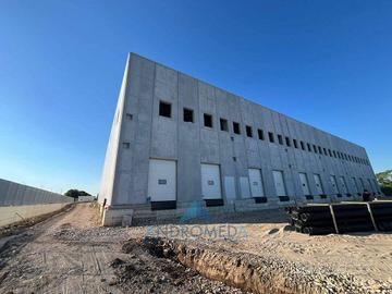 Immobile di 2850 m² a Pignataro Maggiore