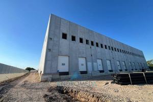 Immobile di 2850 m² a Pignataro Maggiore