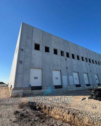 Immobile di 2850 m² a Pignataro Maggiore