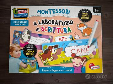 Gioco laboratorio di scrittura Lisciani