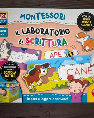 Gioco laboratorio di scrittura Lisciani